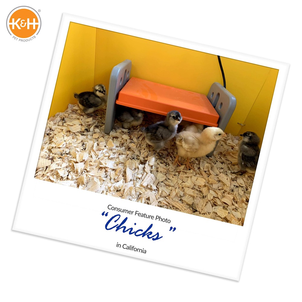 Chicken Brooder Heater for Chicks Ducklings, Adjustable Heating Plate for Bro...