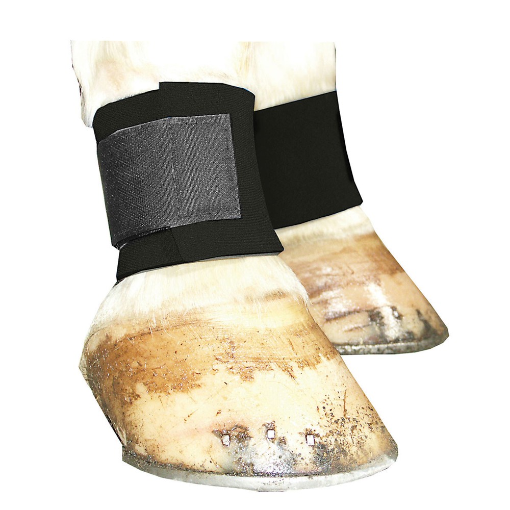 Black Neoprene Ankle Wrap for Horses