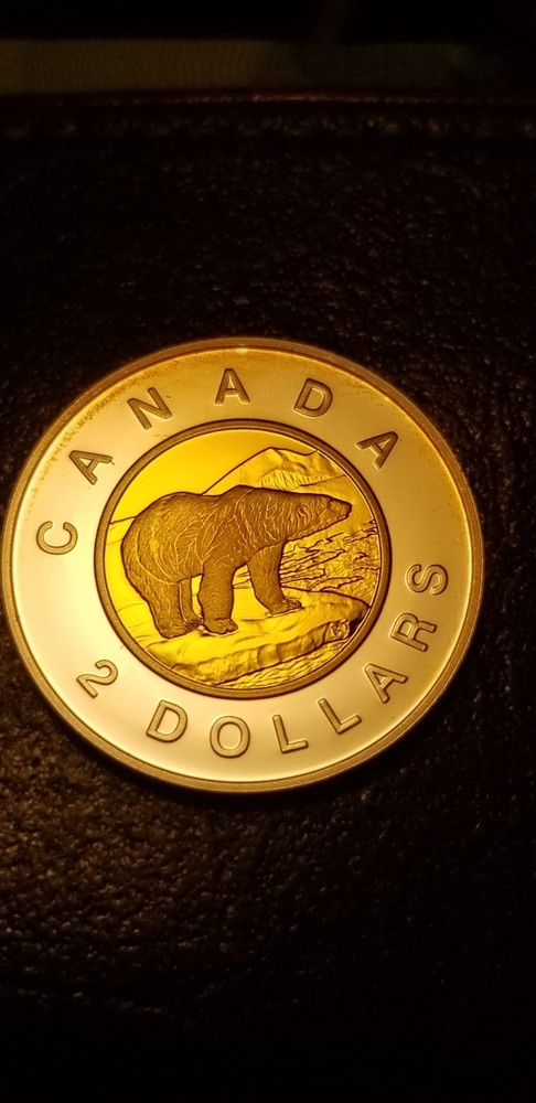 Canada 2000 Silver Proof Gem $2 Gold Plated Rare.