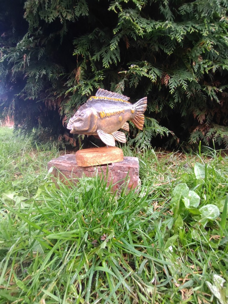Carp Fishing, linear Carp Display, statue
