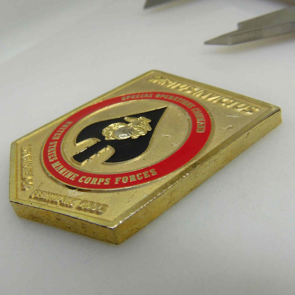 UNITED STATES MARIVE CORPS FORCES SPECIAL OPERATIONS COMMAND CHALLENGE COIN