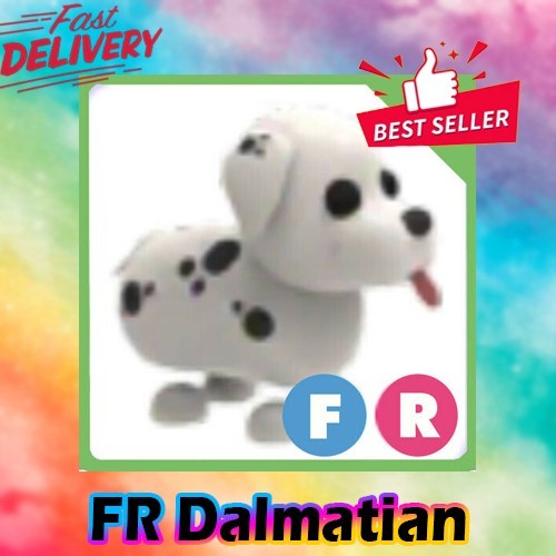 FR Dalmatian *Adopt right now*