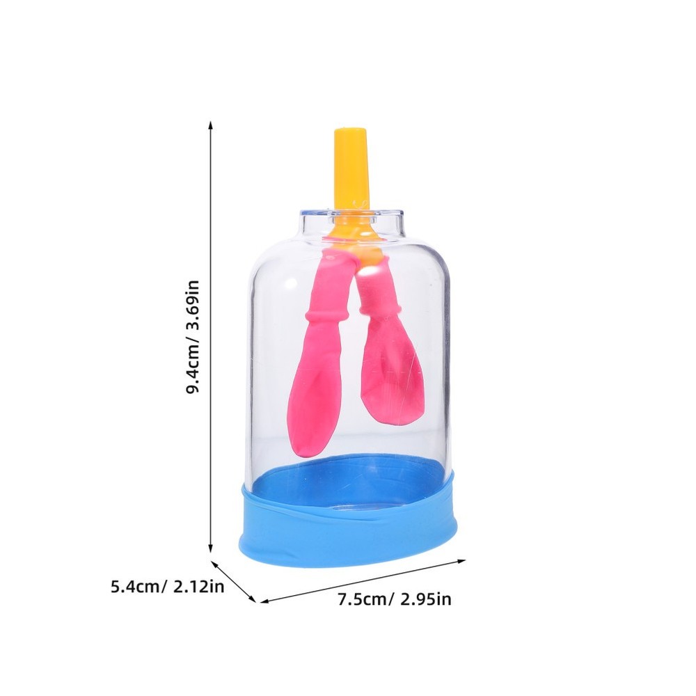 Lung Demonstration Model Function Teaching Aid