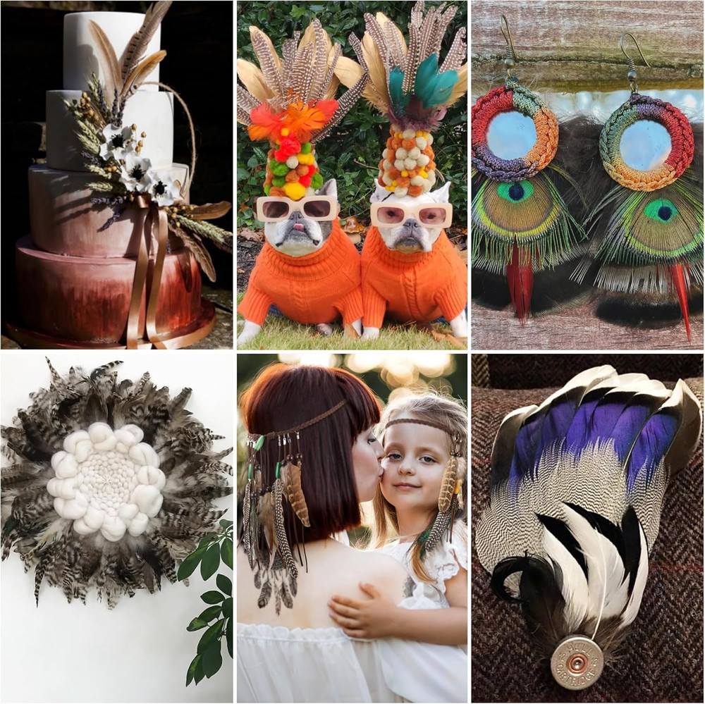 48Pcs Natural Feathers Bulk - 6 Styles Assorted Peacock, Pheasant, Turkey Feathe