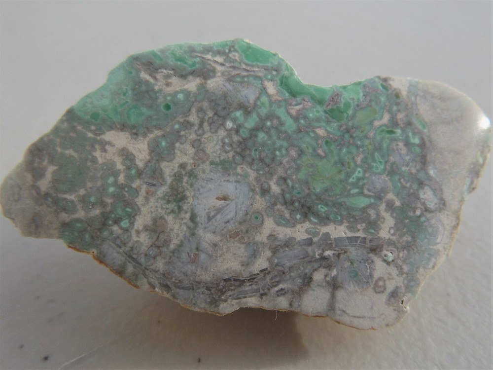 DIG-N-UTAH: VARISCITE UTAH POLISHED # I 846