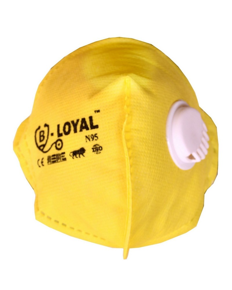 Loyal Flat Fold Respirator Mask (PACK OF 20)