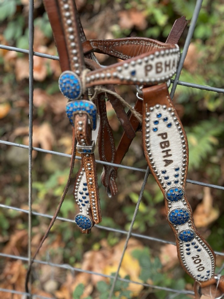 Luan's Leathers Bling Western Set