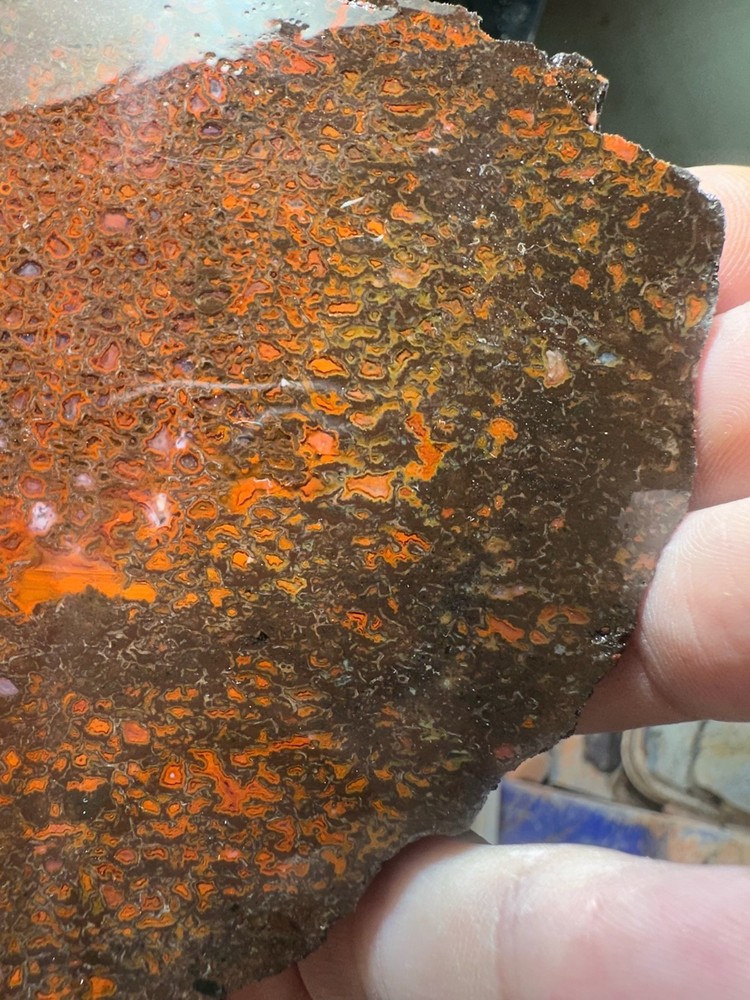 Dinosaur bone rough **hxtled slab.