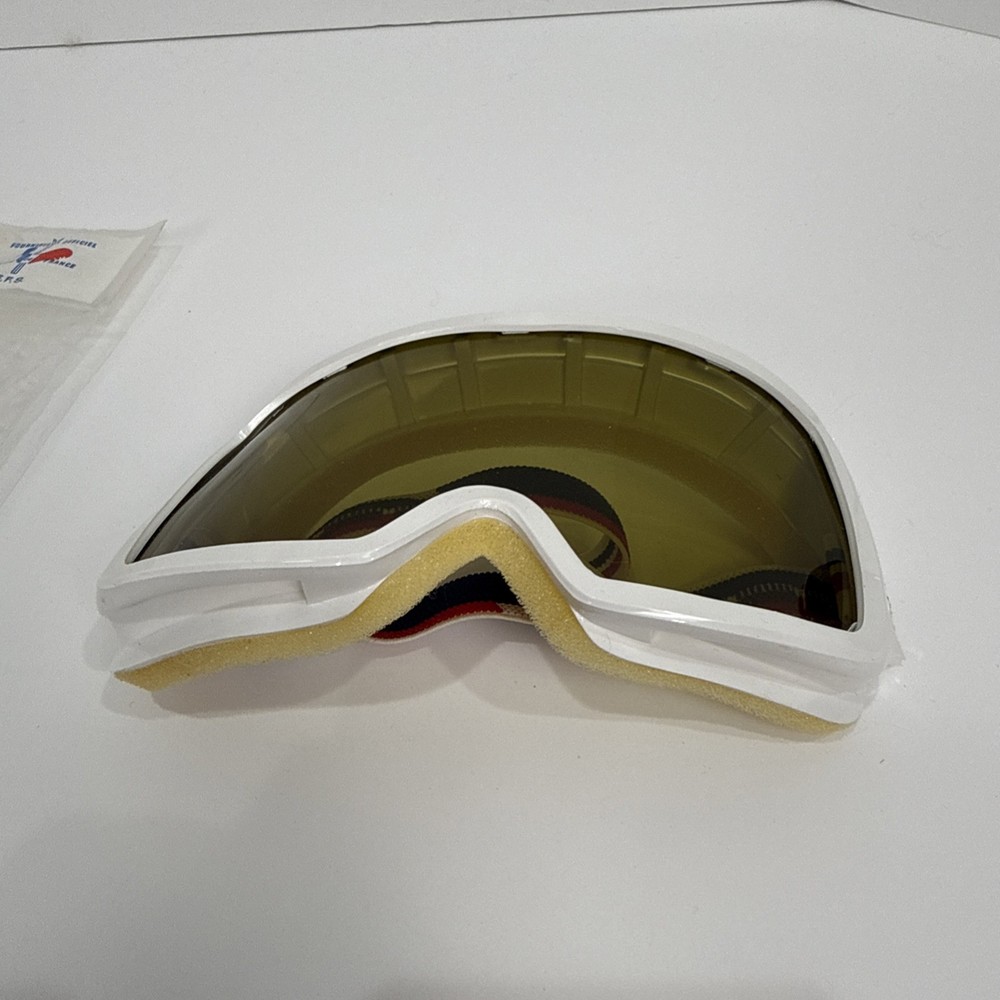 Vintage CEBE US Ski Team Goggles Snowboard White Frames