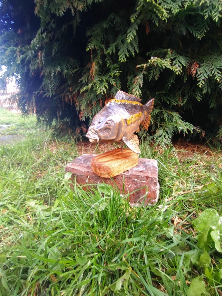 Carp Fishing, linear Carp Display, statue