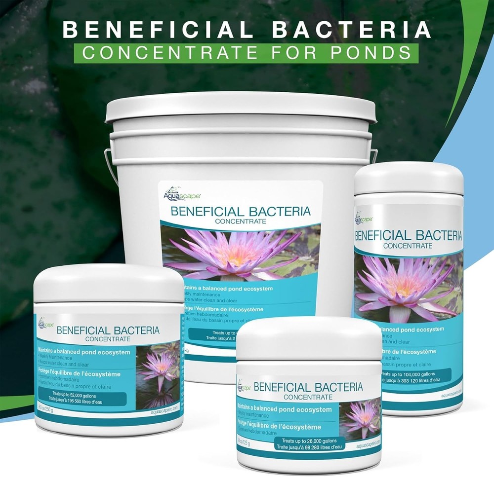 Beneficial Bacteria for Water Features