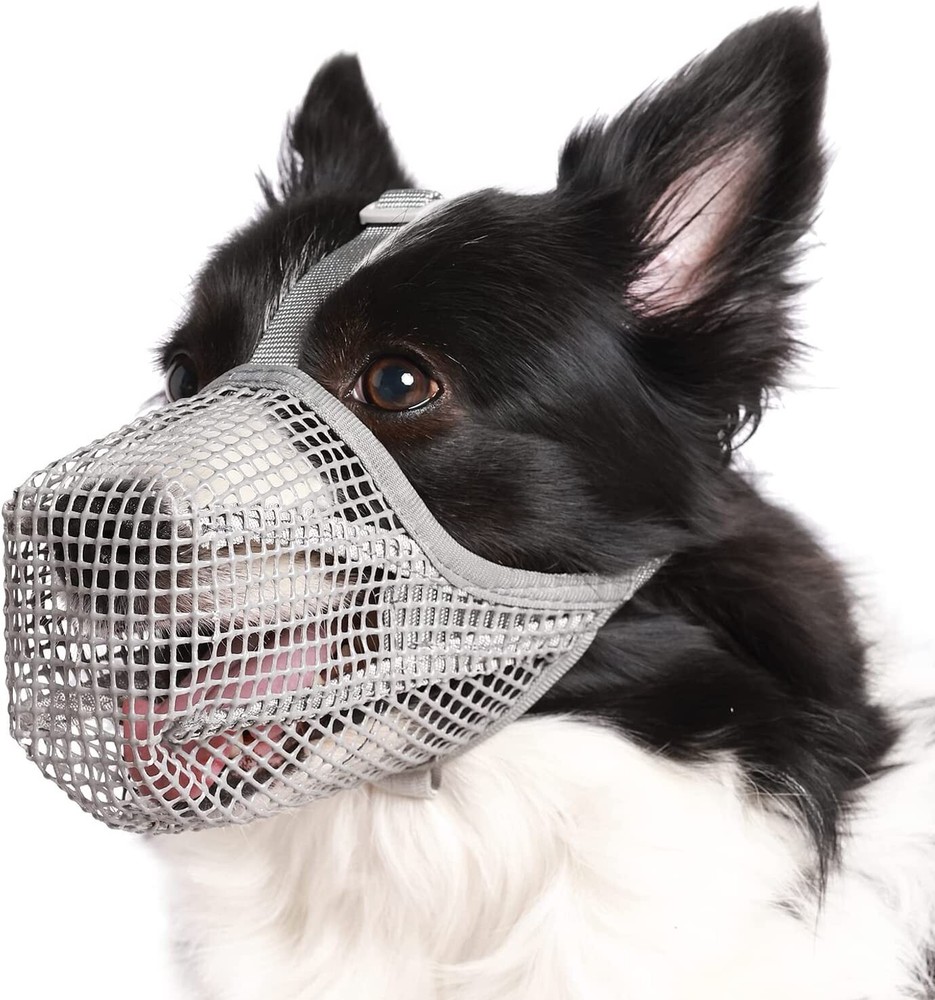 Mesh Dog Muzzle for Medium (M) Dogs Breathable Adjustable Allows Drinking