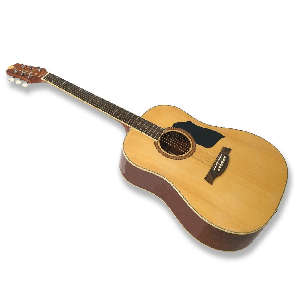 41" Acoustic Guitar PLD-160