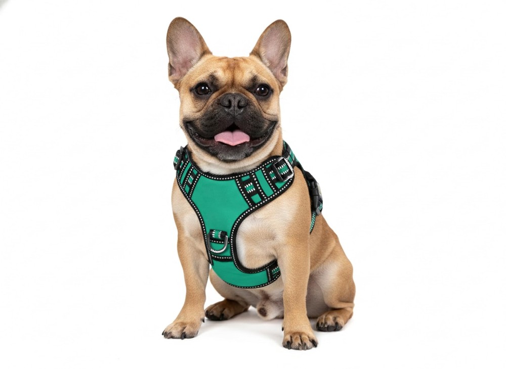 . No-Pull Dog Harness with Dual Leash Attachment Points, Soft Adjustable Padd...