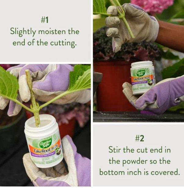 Garden Safe Take Root Rooting Hormone, 2-Ounce