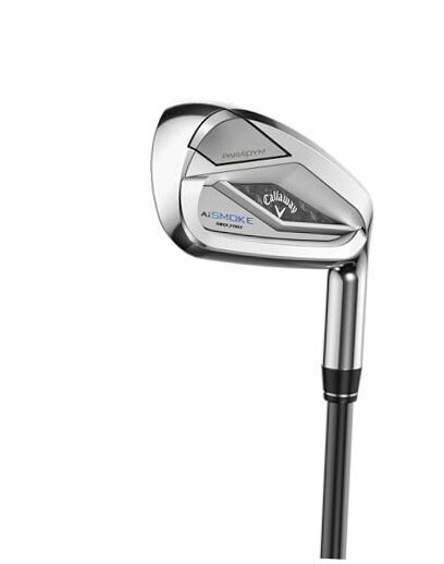 Paradym AI Smoke Max Fast 7 Iron, Graphite, R2, Standard
