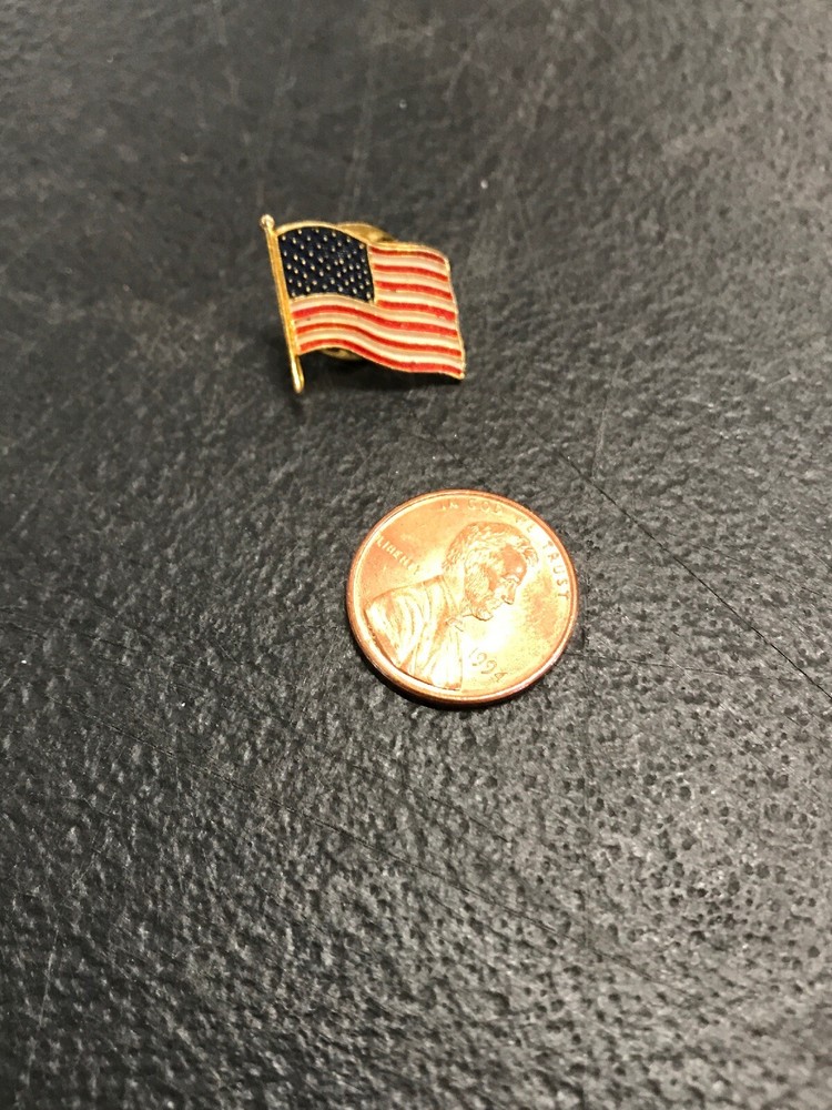 Waving American Flag Pin