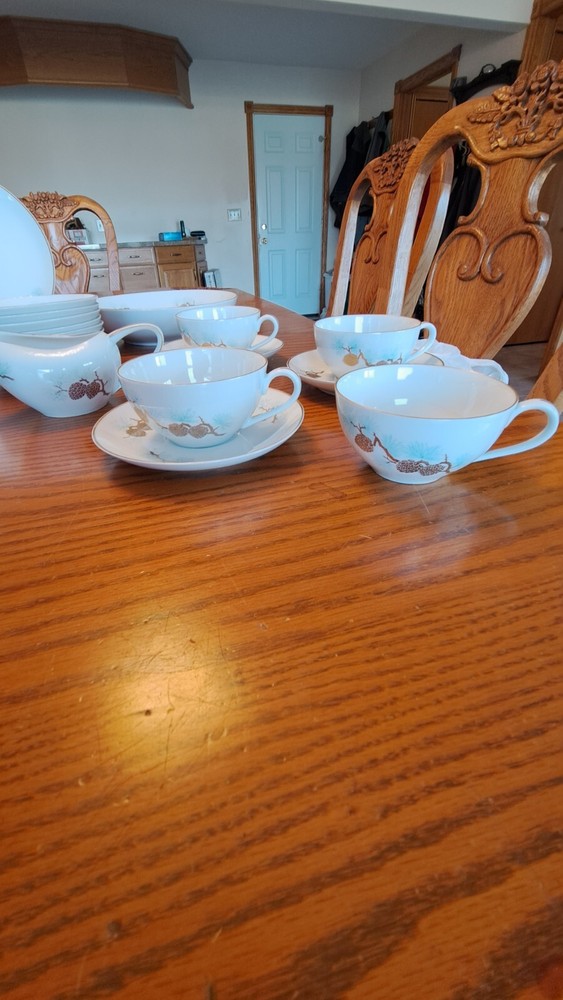 Fukagawa Arita Handpainted 41 Piece Grouping Dinnerware Pine Cone Pattern #904