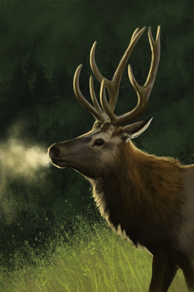 Atlas: Enchanted Lands