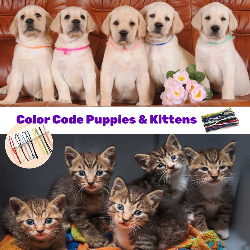 Stretchy Puppy Collars for Litter, 150Pcs Assorted Adjustable Identification ...