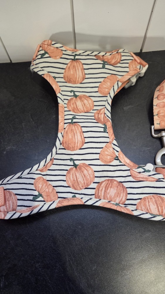 Pumpkin Pattern Adjustable Soft Dog Harness & Leash Set, Bone Buckle, Size L