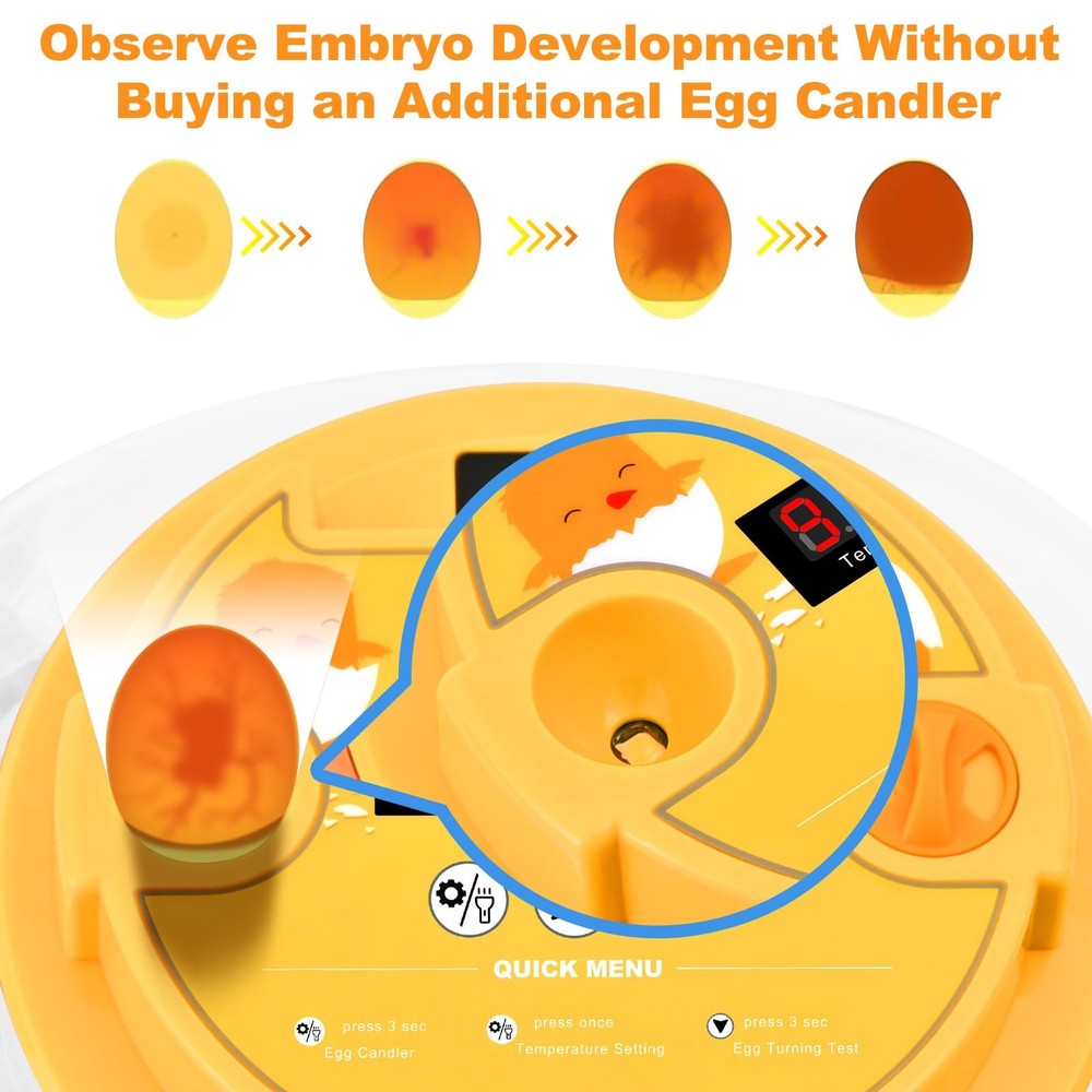 Egg Incubator for Hatching Chicks, Automatic Egg Turner Holds 12 Eggs, Smart ...