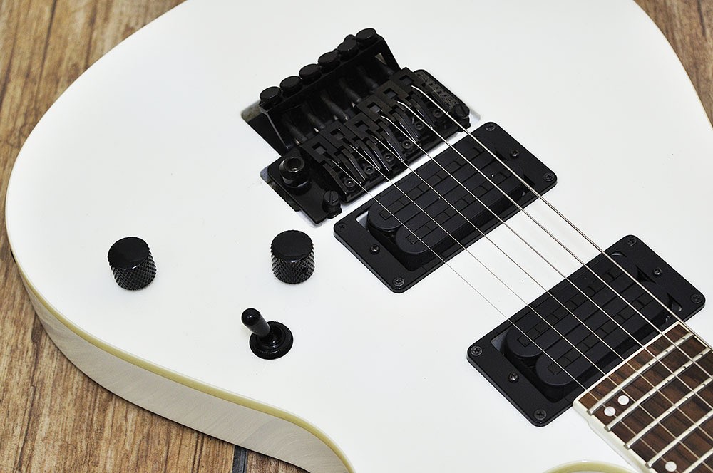 FERNANDES FGZ-STANDARD