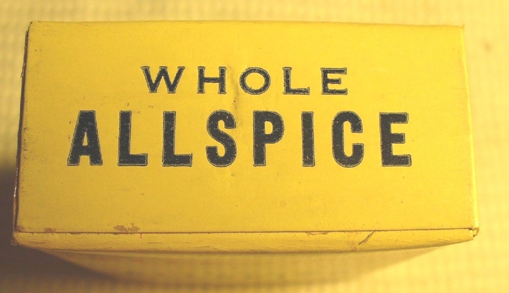 Vintage PLEE-ZING ALLSPICE Spice Box - NOS - Mint Condition
