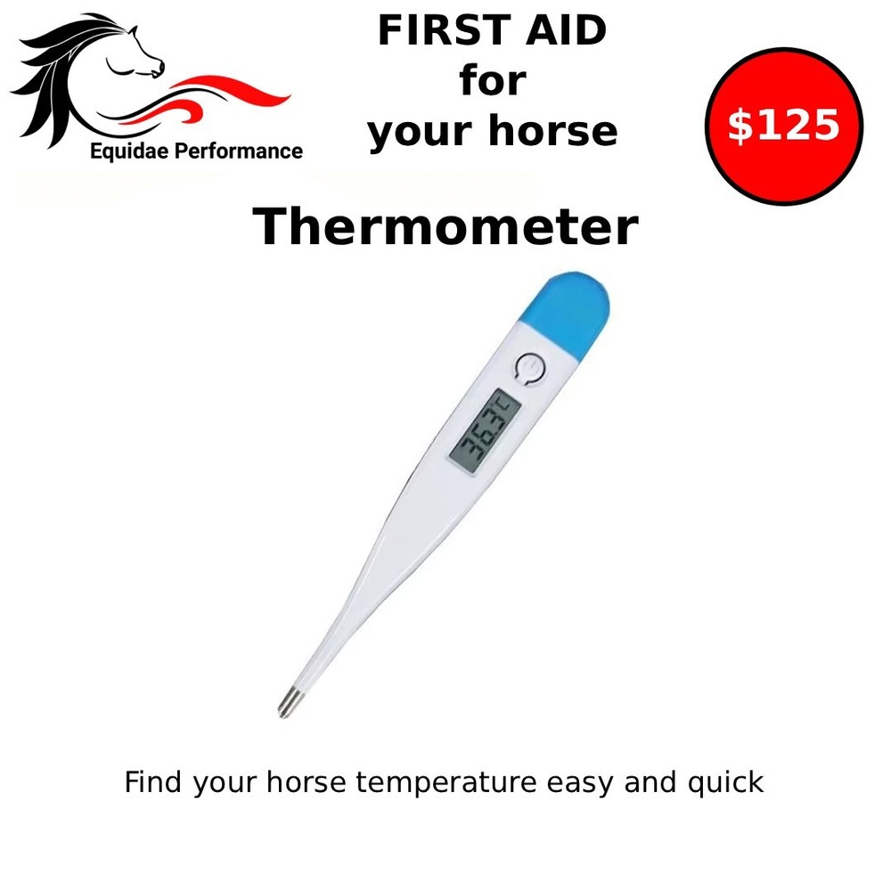 Horse First Aid Kit