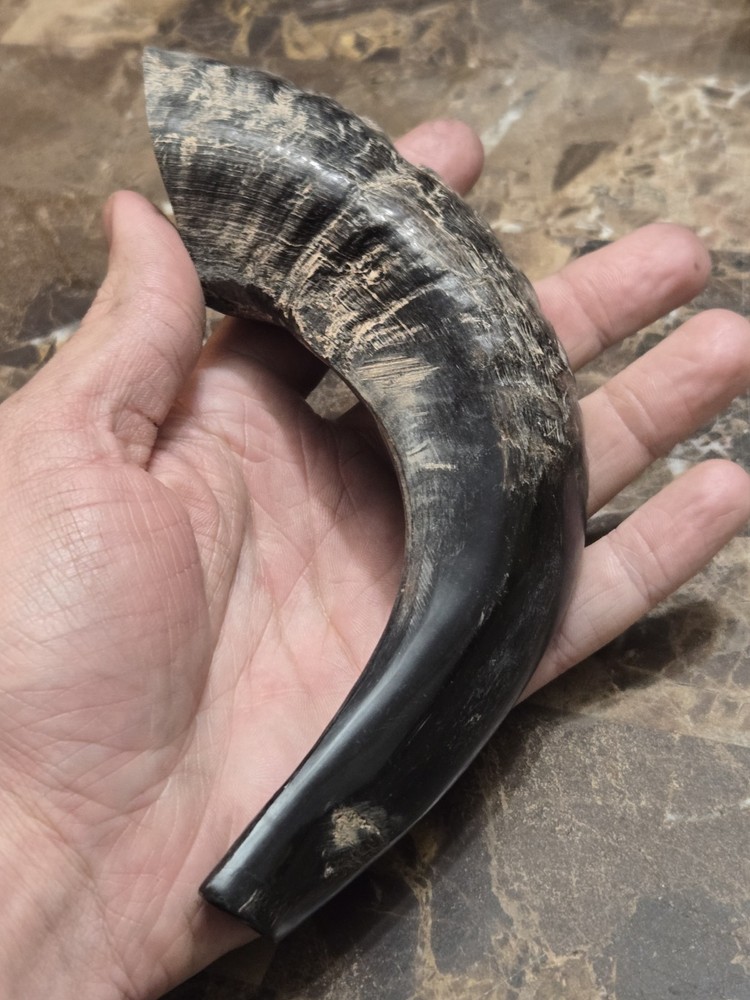 HANDMADE HORN BLOW HORN ANTLER