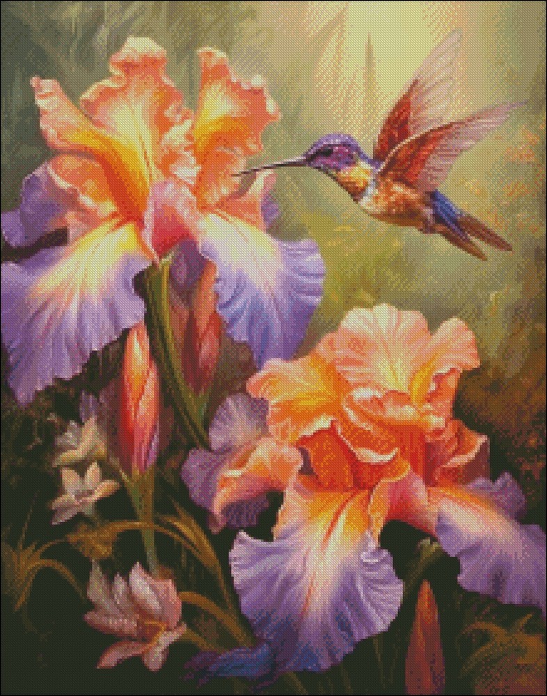 Iris and Hummingbird 2 - Chart Counted Cross Stitch Pattern Needlework DMC Color