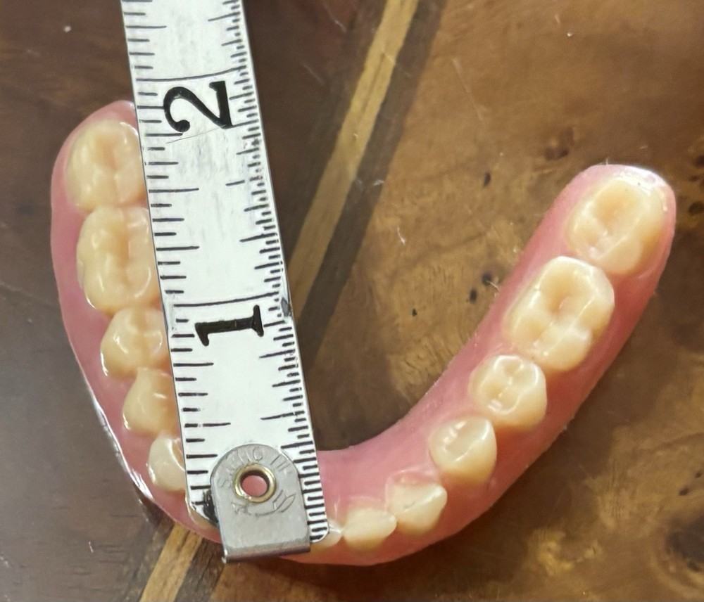 Vintage False Teeth Dentures Upper & Lower Oddities Weird