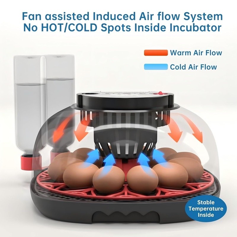 12-24 Egg Incubator with Humidity Display Egg Candler Automatic Egg Turner