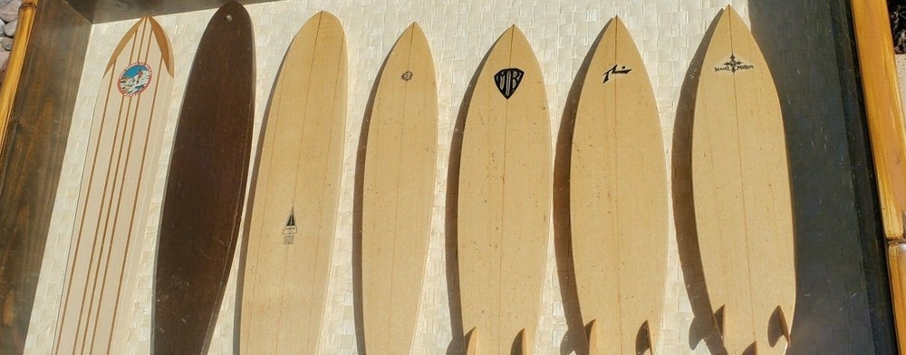 Dave C. Reynolds Signed Surf Art Original Artwork "Evolution '98" Surf boards