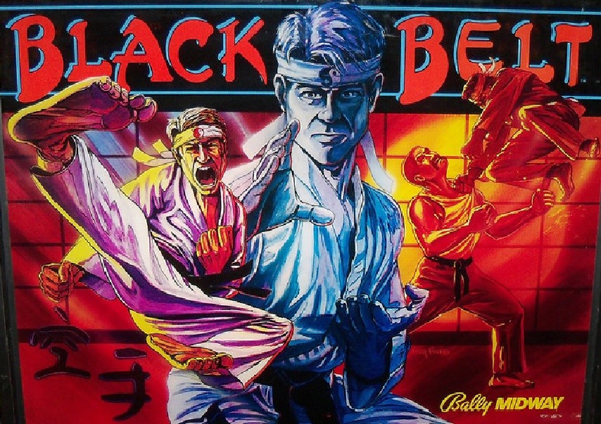 BLACK BELT NON GHOSTING Lighting Kit custom SUPER BRIGHT PINBALL LED KIT