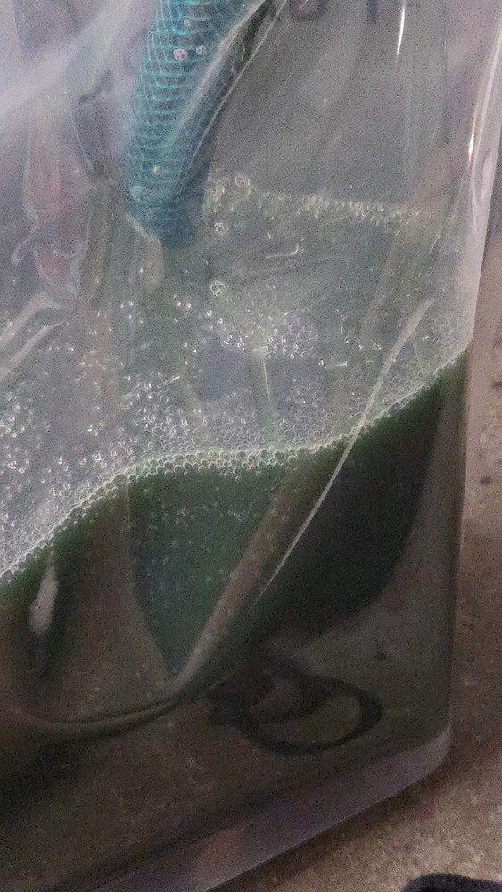 (READ DESCRIPTION) 330 Gal Tote Of Detergent