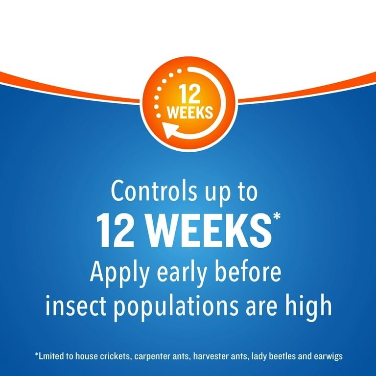 Cutter Backyard Bug Control Spray Concentrate 32 fl oz Kills Mosquitoes Fleas