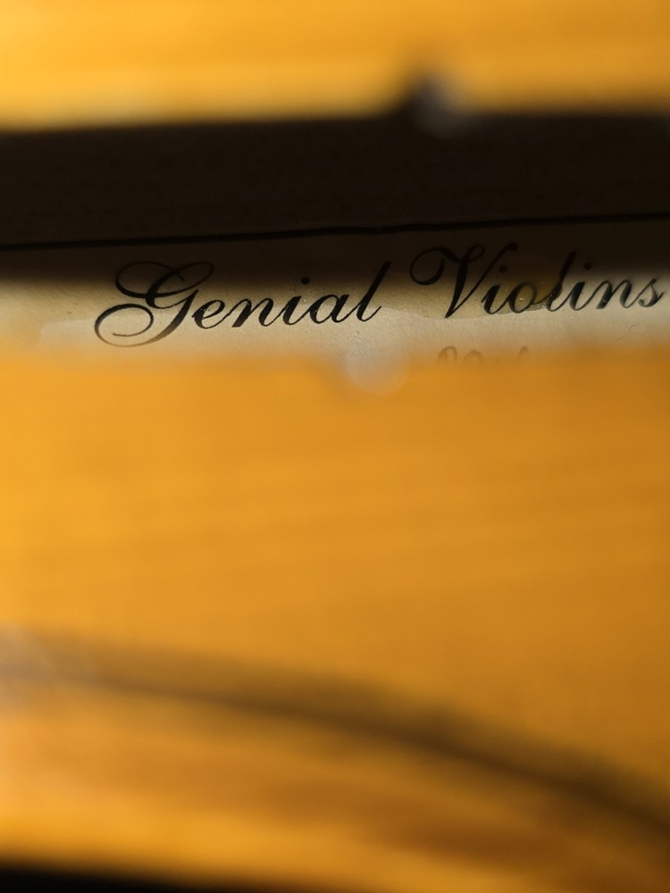Genial Violin 4/4 Size