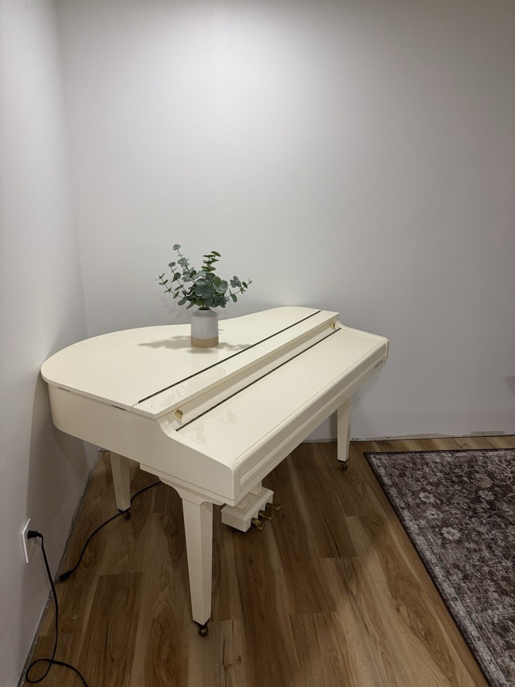 Samick Digital Piano
