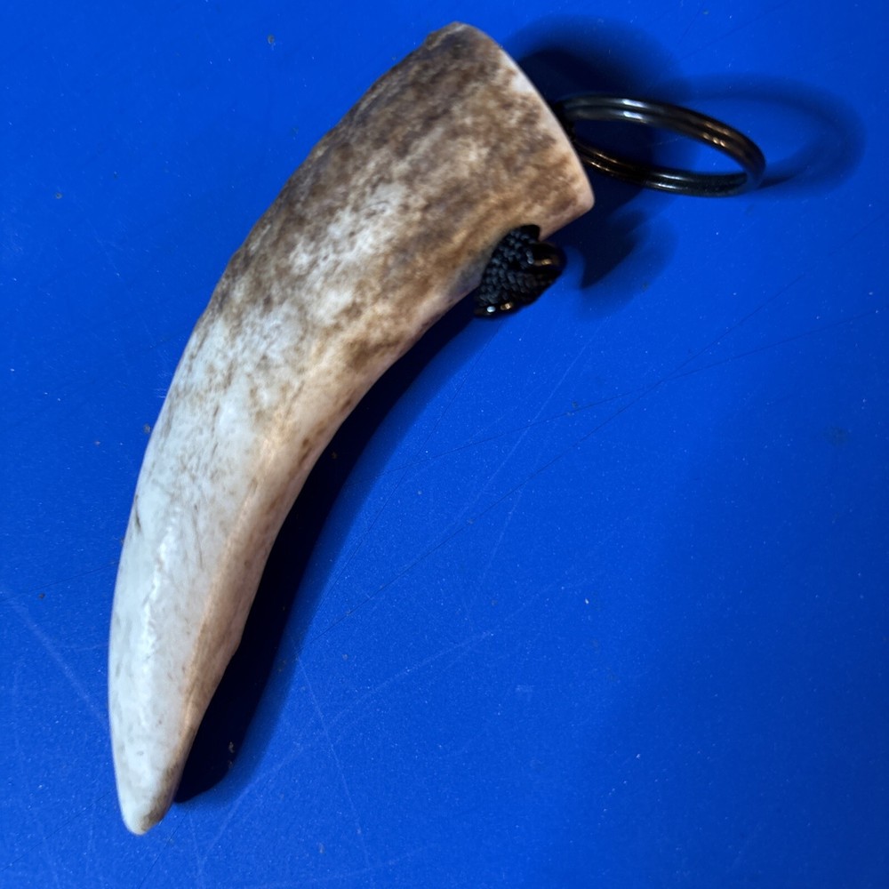 Horn Key Chain