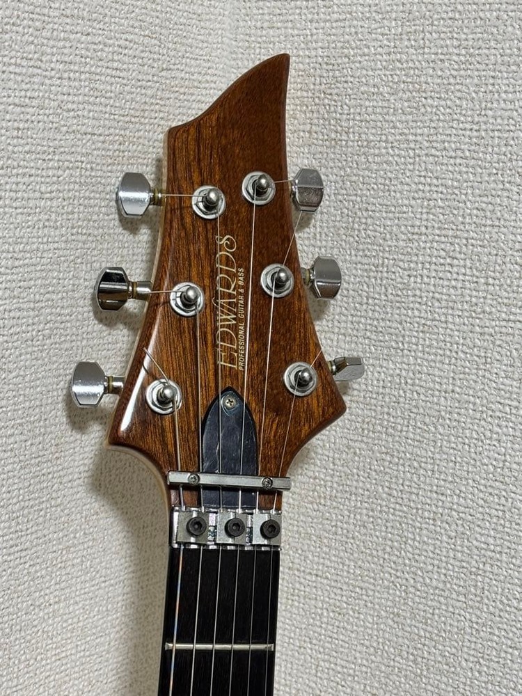 EDWARDS E-FR-120GT Safe Packing!