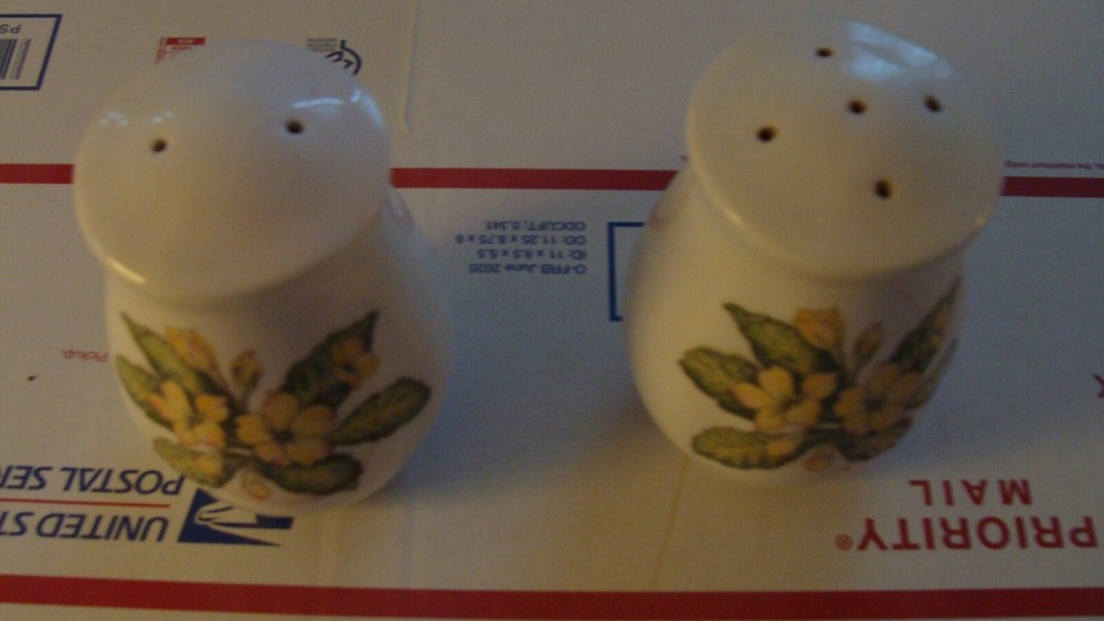 noritake salt and pepper shakers Mint condition ,,never used