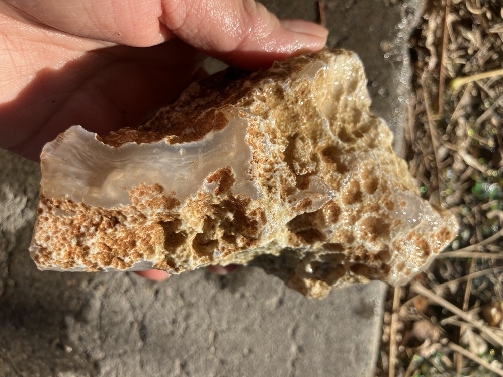Luna Agate Specimen (Rough)