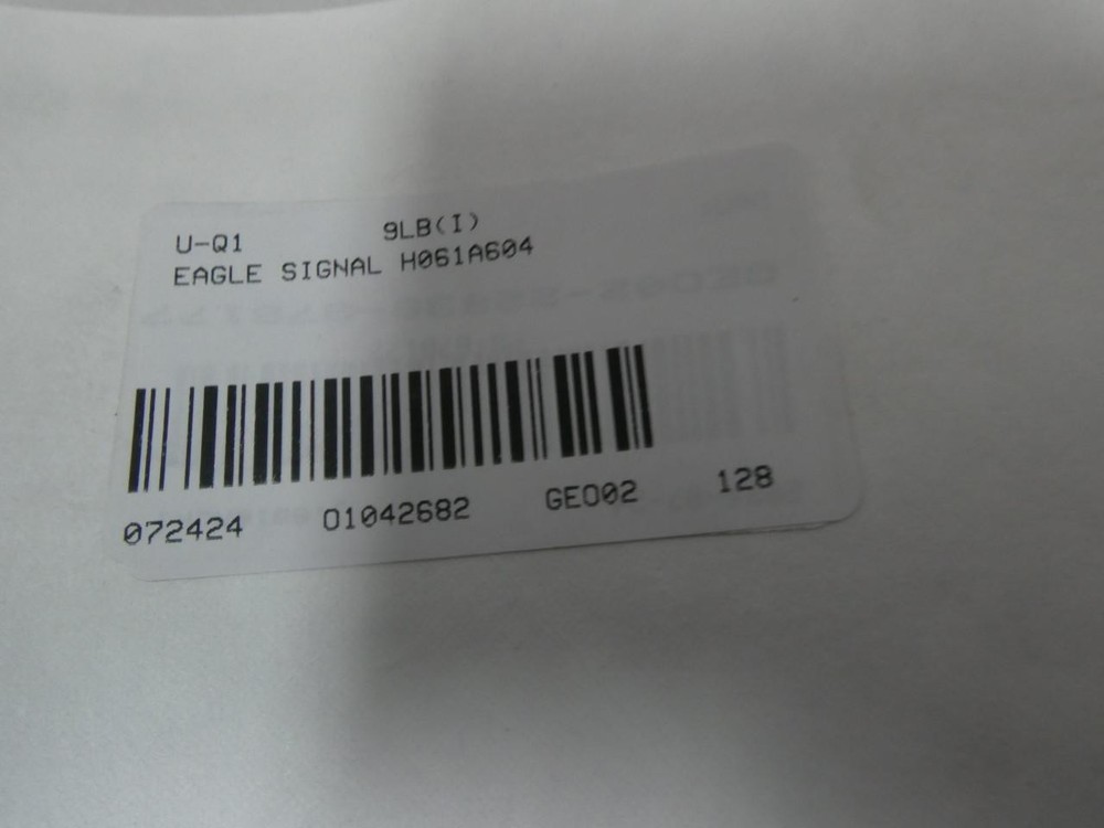 Eagle Signal H061A604 Timer 120v-ac