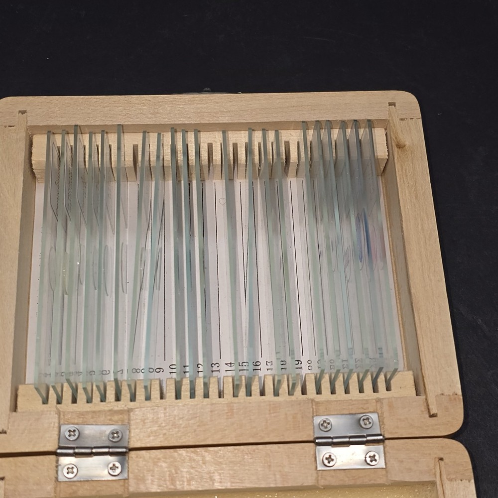 Celestron #44410 Prepared Slides 21 Count Science Microscope