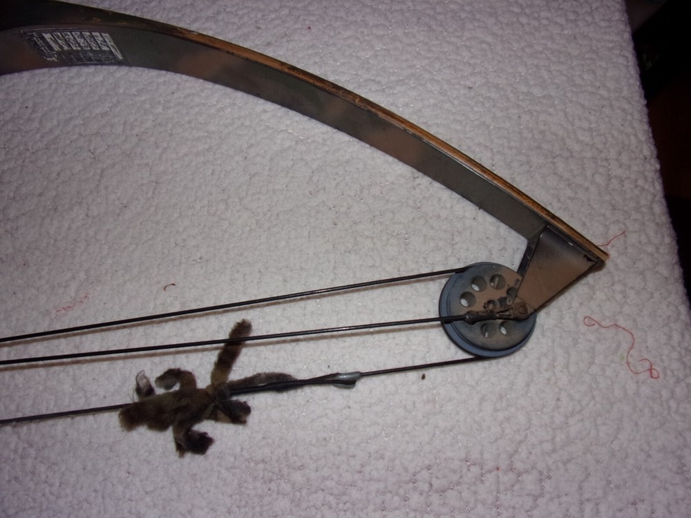 American Archery Wood Compound Bow