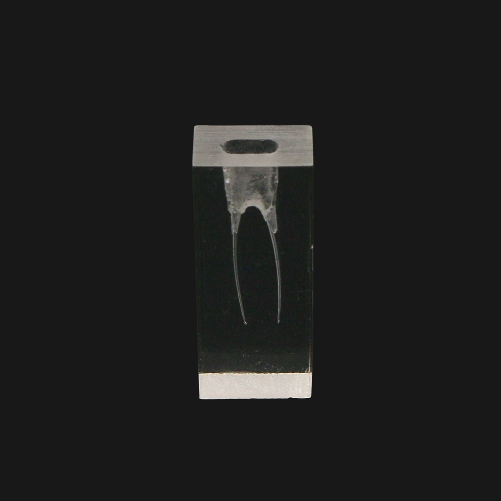 10 Pcs Dental Endodontic Root Canal Practice Model Endo Training Block Clear