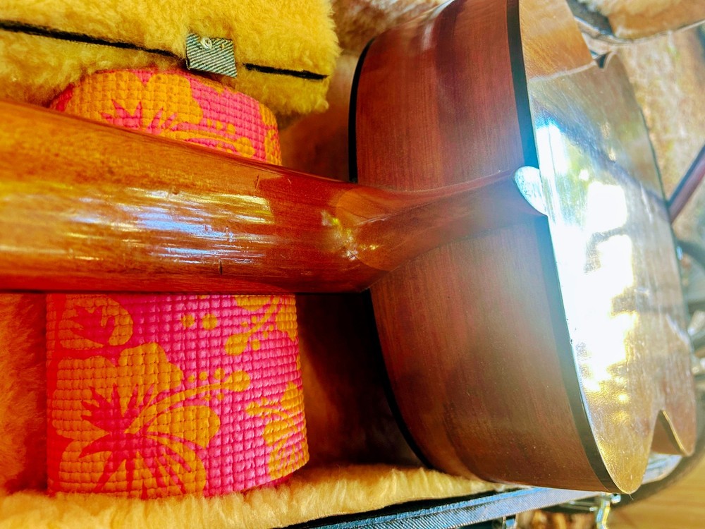 Aria Classical ~ A551B Vintage with Hard Case!