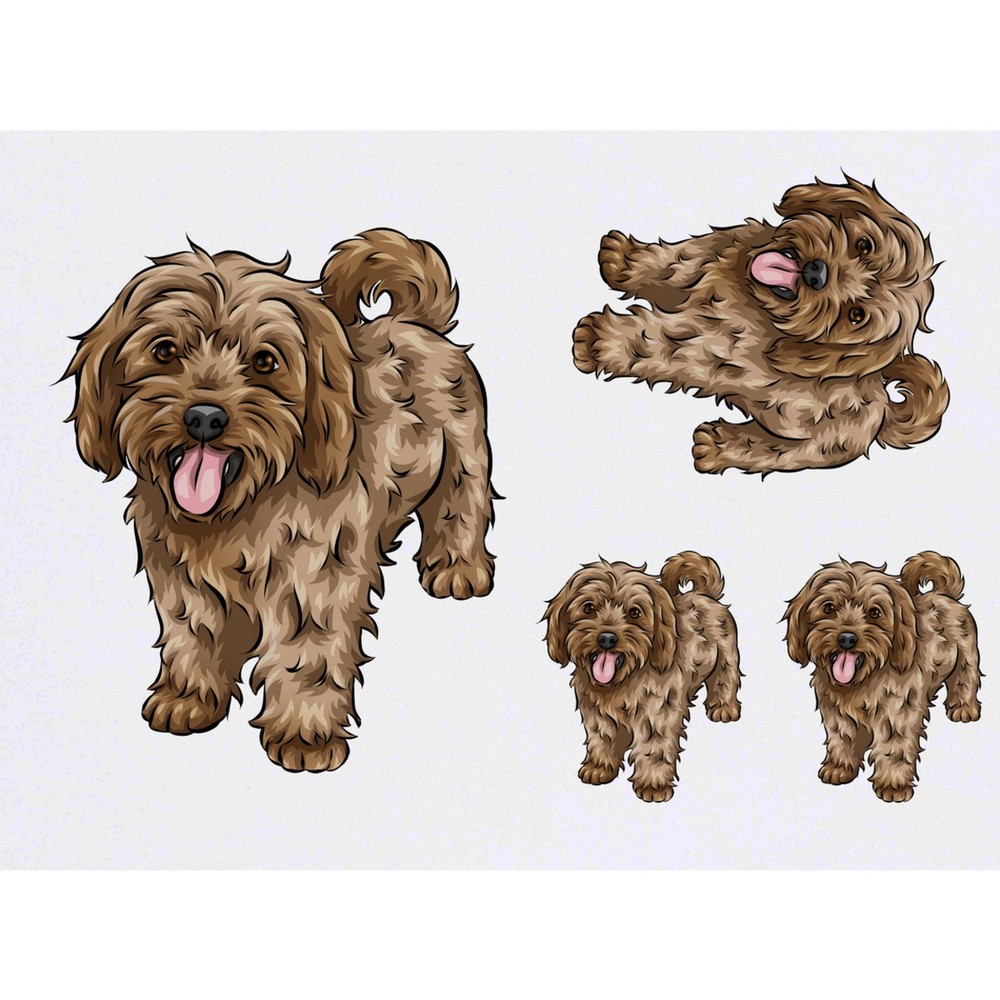 4 x 'Ginger Cavapoo' Temporary Tattoos / Transfers (TO00043607)