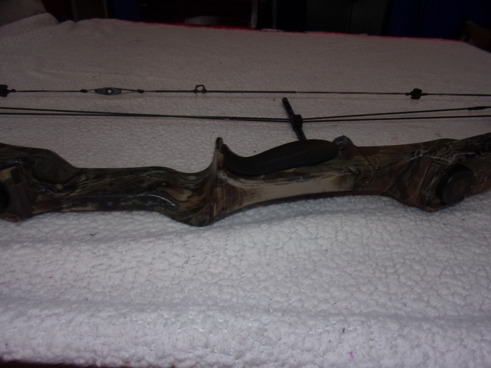 Golden Eagle Falcon Flame Compound Bow